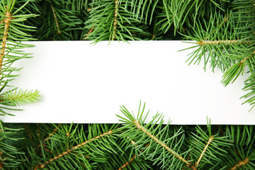 Fototapeta na wymiar Blank card on branches of Christmas tree, top view
