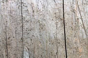  old wooden texture, background