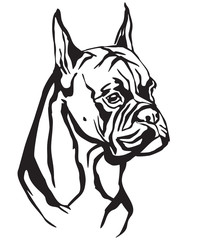 Decorative portrait of Dog Boxer vector illustration