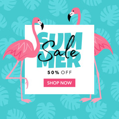 Vector sale banner with 50% off promotion