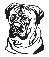 Decorative portrait of Dog Bullmastiff vector illustration