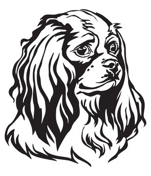 Decorative portrait of Dog Cavalier King Charles Spaniel vector illustration