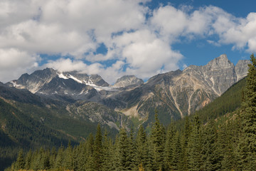 Rocky mountains peaks with woods