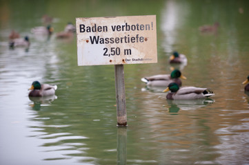 Warnschild Wassertiefe im Stadt Teich mit Ente
