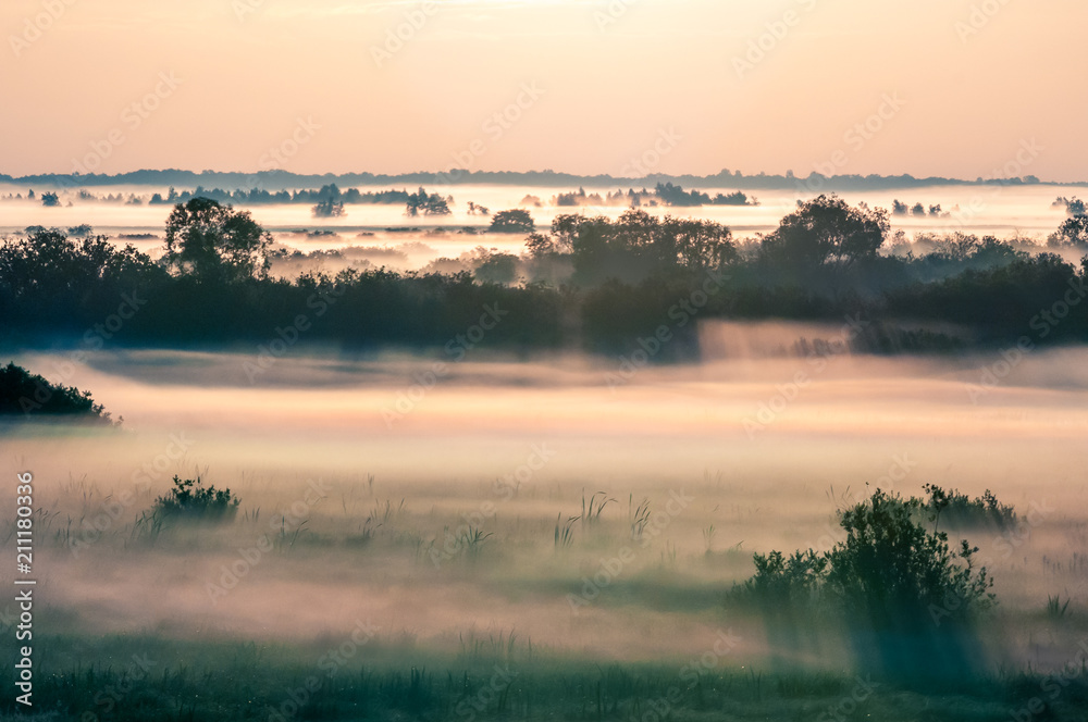 Wall mural natural park of biebrza valley - sunrise in foggy morning over medow and pool