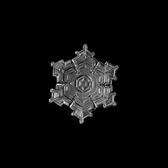 Snowflake isolated on black background. Real snow crystal at high magnification: small stellar...