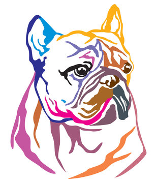 Colorful decorative portrait of Dog French Bulldog vector illustration