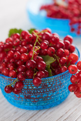 Freshly Picked Red Currants Ready to Eat