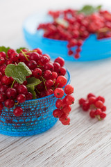 Freshly Picked Red Currants Ready to Eat