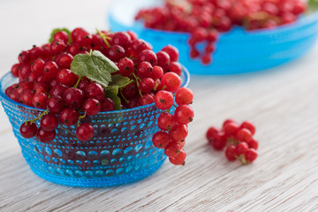 Freshly Picked Red Currants Ready to Eat