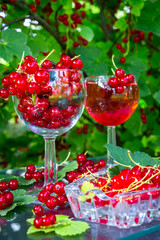 Fresh juicy berry red currant in a glass bowl in a garden on a table in the background of bushes with berries in a summer day with copy space