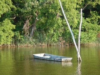 Naklejka na ściany i meble Boat in the Creek Trees Coastline
