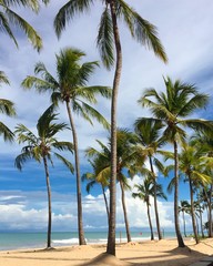 Praia de  Recife 
