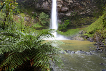 Fototapeta premium Waterfall. New Zealand
