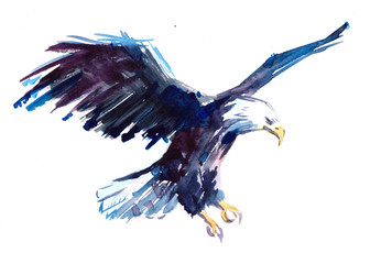 Obraz na płótnie Canvas Watercolor eagle