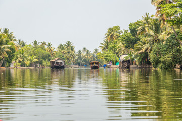 Boat riding trough the canals and palm trees, Allepey backwaters, Kerala, India