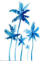 Obraz premium Palm trees