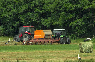 Summer farm work in the field.