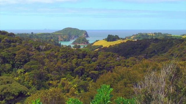 High Angle View of Matapouri Bay over the Woods 