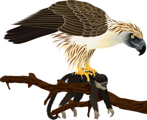vector philippine Eagle - Pithecophaga jefferyil with monkey