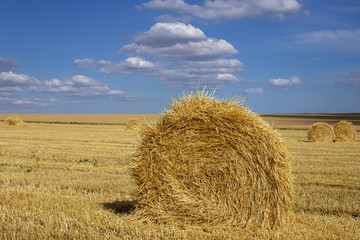 A straw bale on the field. Beautiful background with bales of straw.