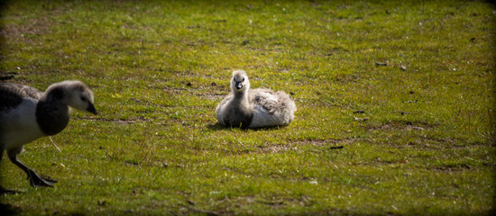 Frisch auf dieser Welt