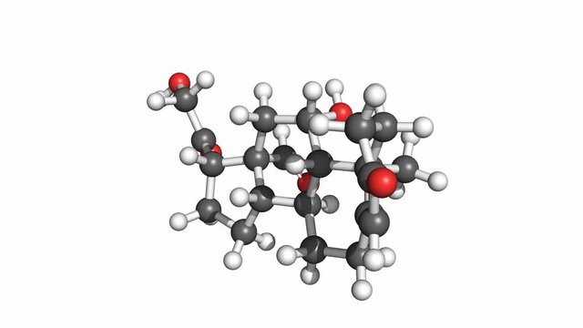 Aldosterone molecule, rotating ball and stick model, seamless loop