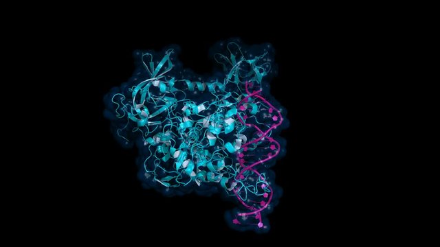 DNA methyltransferase (DNMT3) bound to DNA, rotating cartoon model with semi-transparent surface