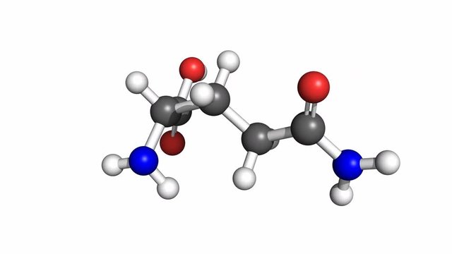 Glutamine molecule, rotating ball-and-stick model, seamless loop