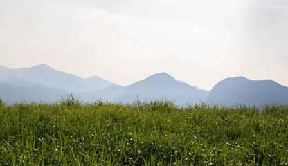 Fototapeta na wymiar Green grass with distant mountains on sunny day