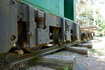 Fototapeta na wymiar Narrow track, forest train