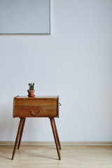 urban interior design cactus on chest drawer