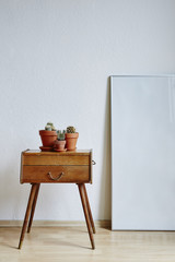 urban hygge style small cabinet and cacti
