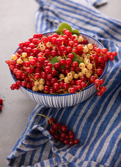 Freshly Picked Red Currants Ready to Eat