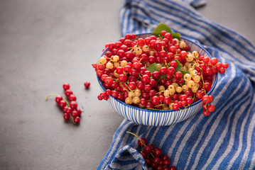 Freshly Picked Red Currants Ready to Eat