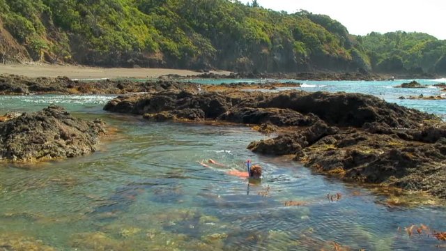 Beachgoer Basks and Snorkels in Matapouri Bay 