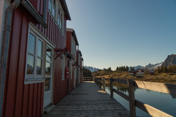 Typical norwegian houses at Svolvaer at Lofoten Islands / Norway