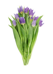 Bouquet of tulips isolated on white background with clipping path. Spring flowers. Greeting card for Valentine's Day, Woman's Day and Mother's Day. Top view.