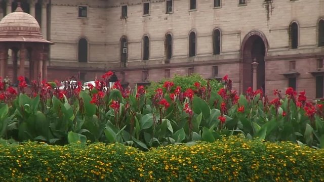 Zoom From Red Flowers to Indian Parliament