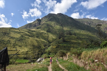 Montaña verde