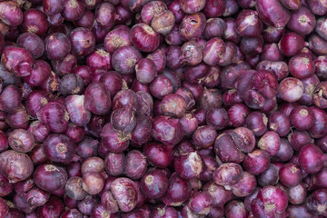 Close-up Red Onion