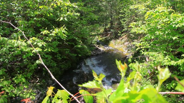 rivi&egrave;re