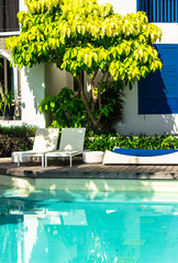 Sunbathing lounger swimming pool side./ Sunbathing lounger swimming pool side and flower pot on summer.
