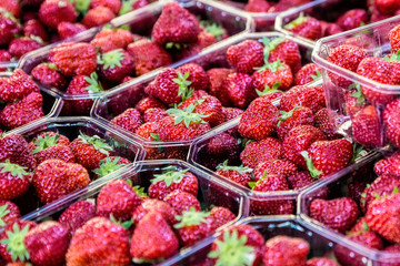 Close-up view of strawberries at a French market
