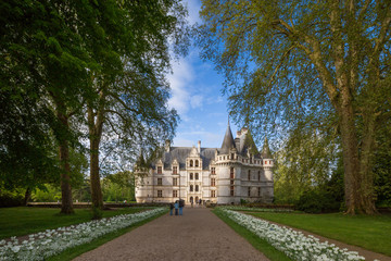 Obraz premium The beautiful chateau at Azay le Rideau in the Loire, France