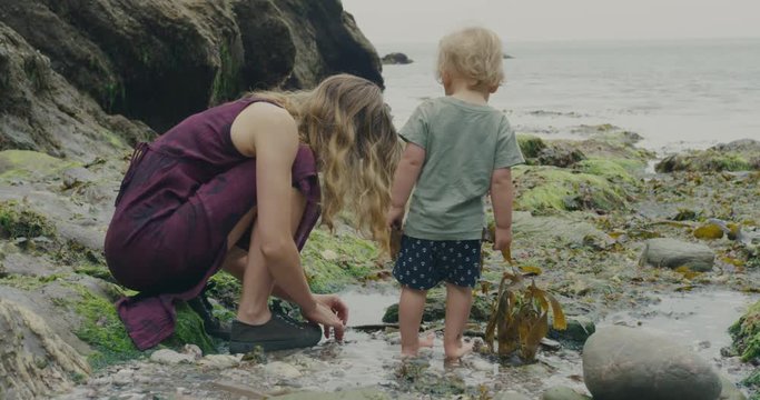 Mother and little toddler boy on the beach looking at nature