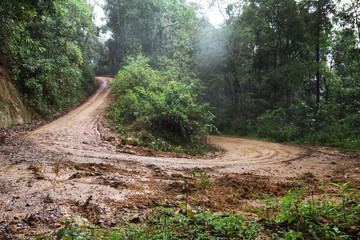 Naklejka na ściany i meble Dirt road or mud road and rain forest