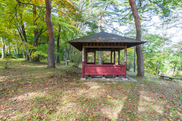 厳美渓のエメラルドグリーンの水流と秋の紅葉