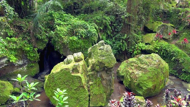 Small Falls Hidden By Moss Covered Rocks In Bali