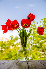 A bouquet of Tulips is in a glass vase 